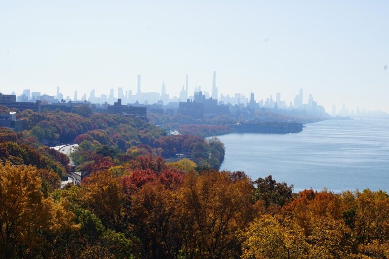 trees, river, city, skyline, buildings, skyscrapers, scenery, autumn, fall, hudson river, nyc, new york, manhattan, hudson river, hudson river, nature, hudson river, hudson river, hudson river