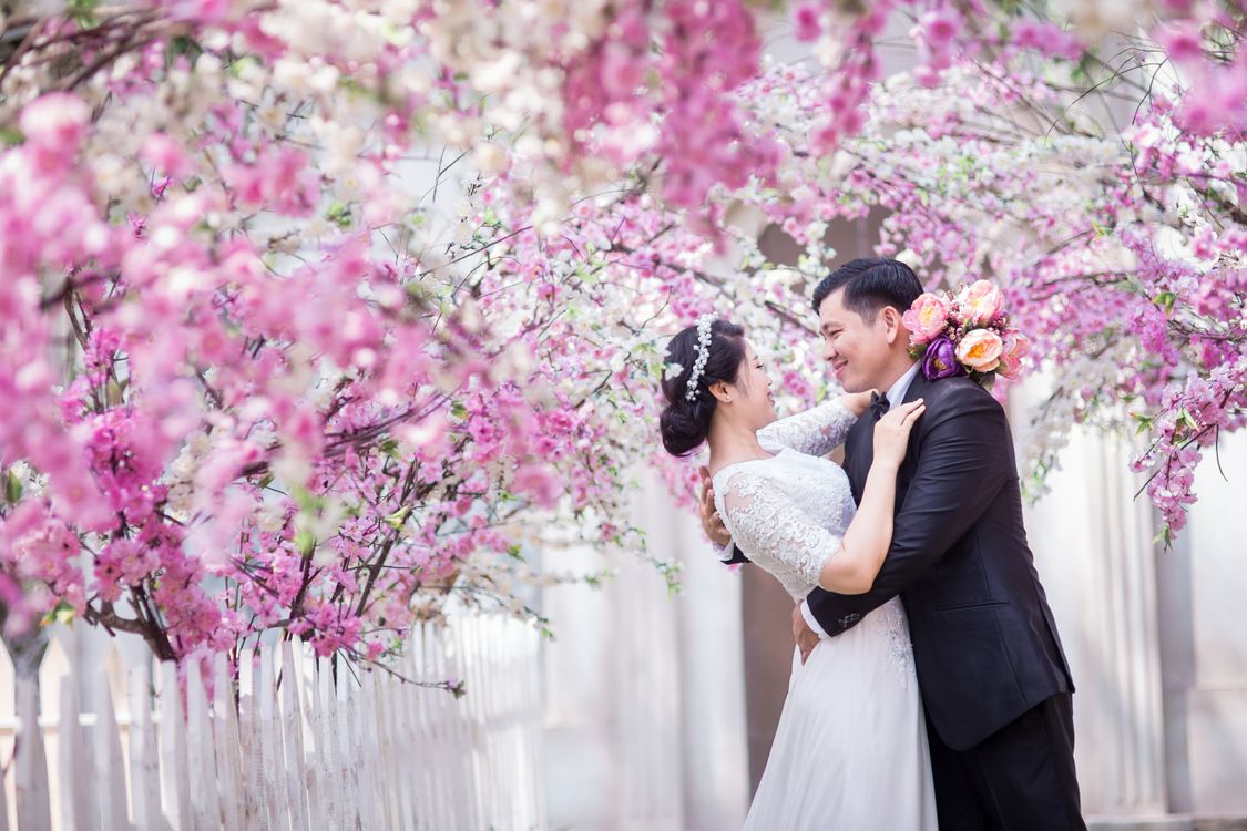 24-passenger bus for wedding shuttles